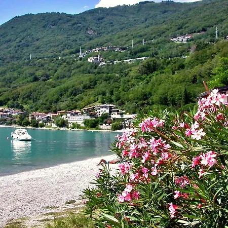 Beachhouse Orchidea Domaso